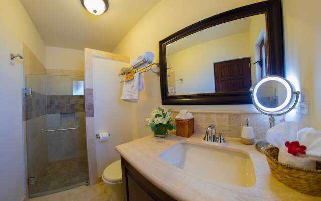 Cabañas Vista La Ribera