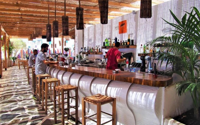 cactus beach paros