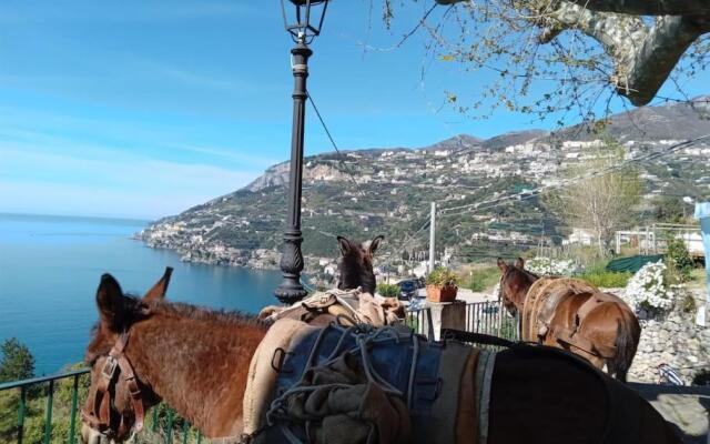 TakeAmalfiCoast Patchwork Rural House