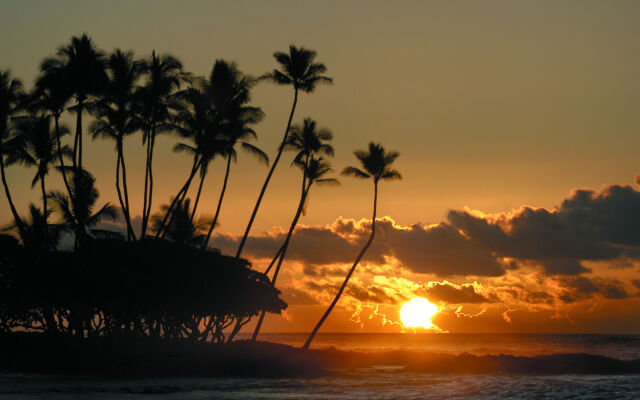 Fairmont Orchid