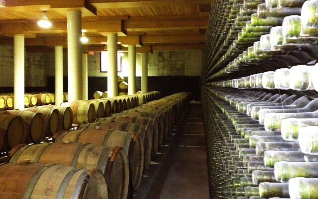 Hotel Chateau Vinasoro