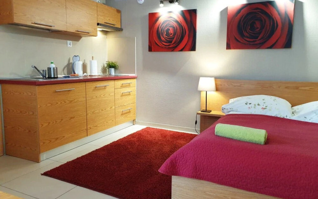 Apartamenty Brzozowa Centrum
