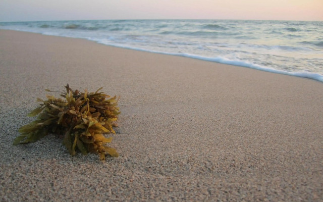 Lanta Il Mare Beach Resort