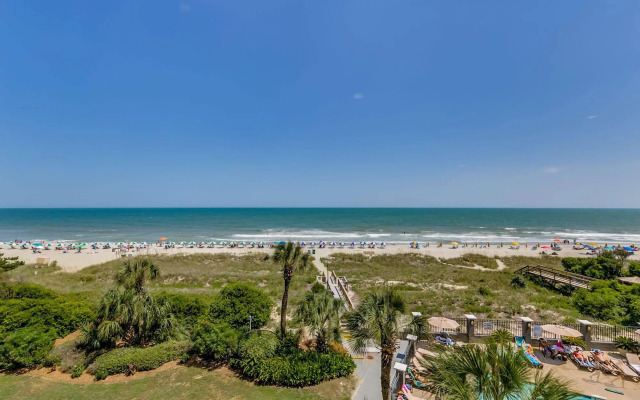 Carolina Dunes