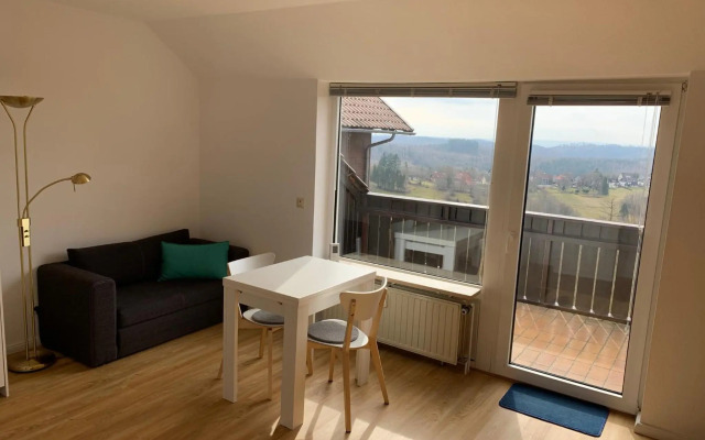 Gemütliche Ferienwohnung Harz Braunlage Hohegeiß