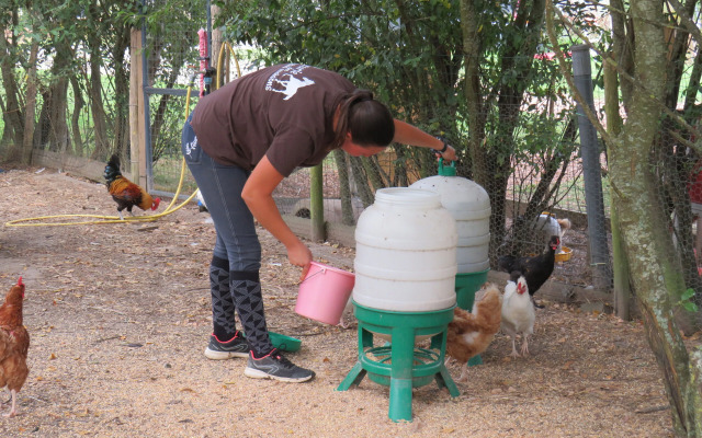 Les P'tites Maisons dans la Prairie