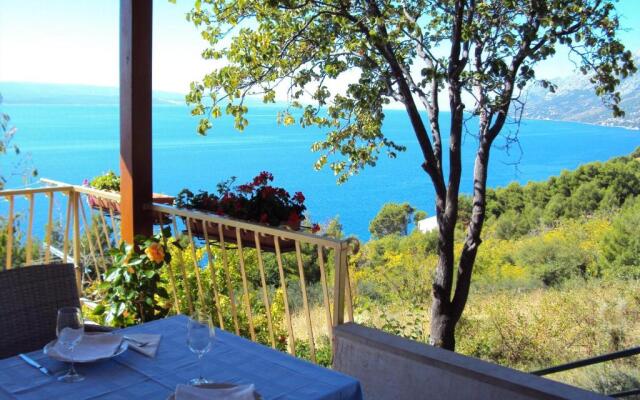Guest House Vineyard oaza