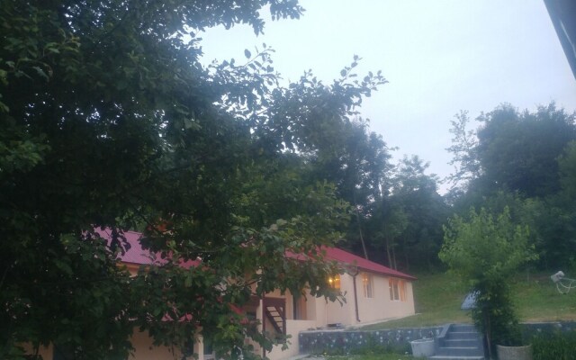 Casa Natura Healing Sound