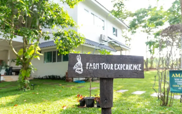 Green Me Organic Farm Khao Yai