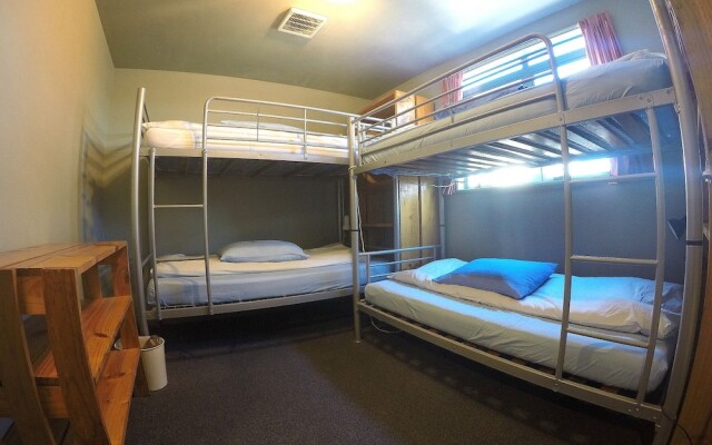 Kiwi House - Hostel