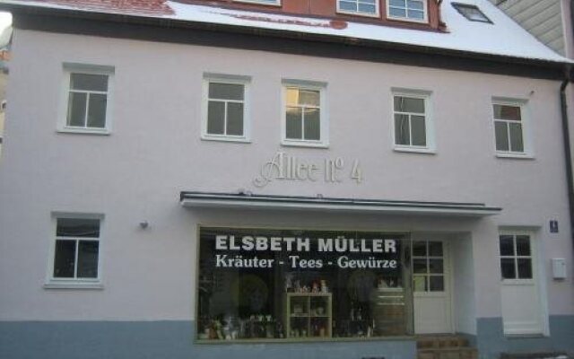 Hotel Allee No. 4