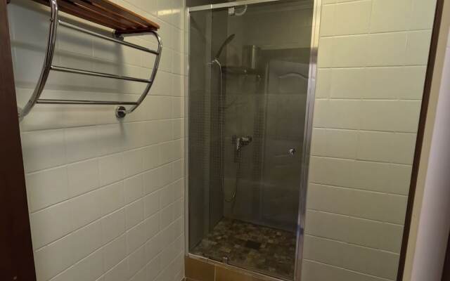 A Large Family House