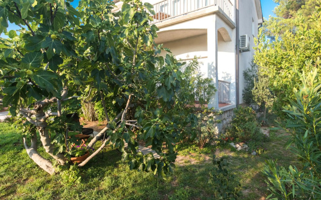 Studio Point of view