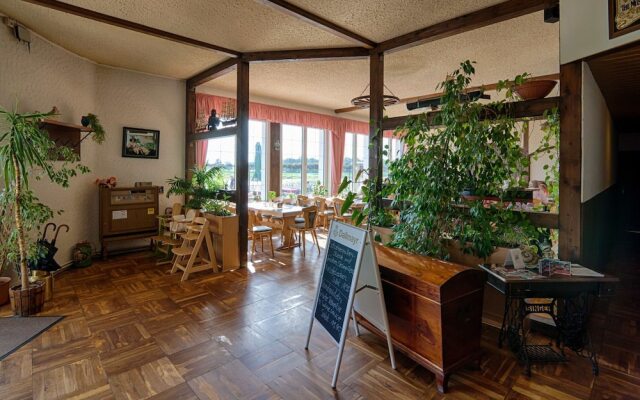 Elbterrassen zu Brambach