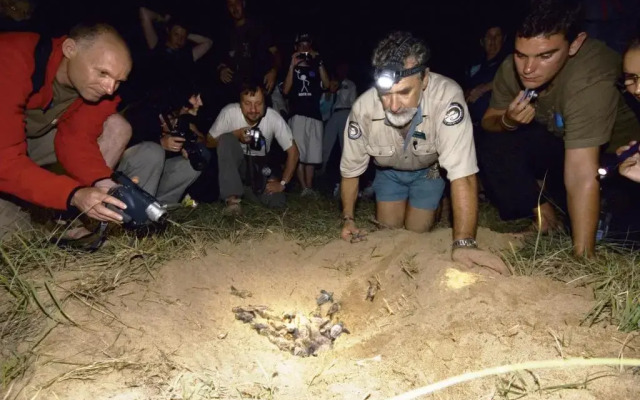 Koola Beach Apartments Bargara