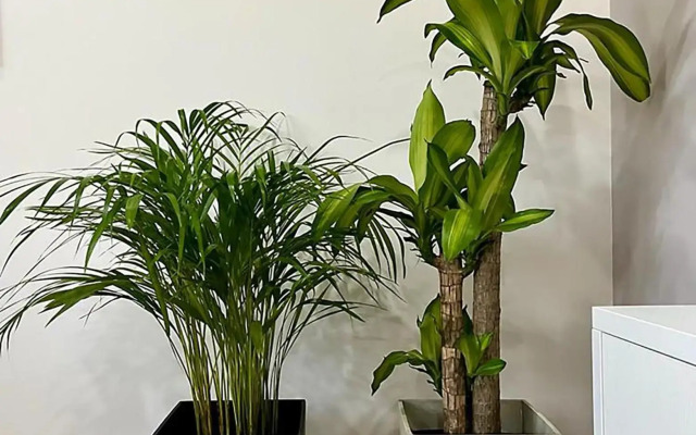 Elegant 1BR ALDEA ZAMA Tulum