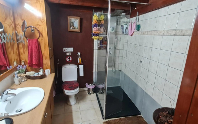 Sylvias Antique House