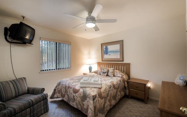 Awesome Views by Vtrips