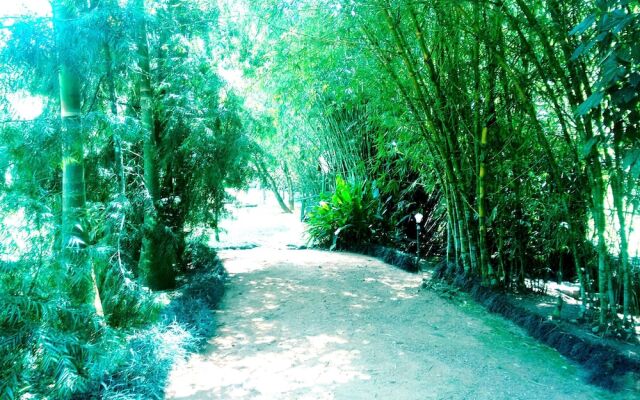 Vythiri Greens Resort