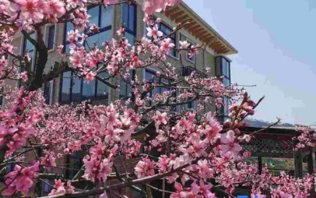 Hutaoling Yunjian Guesthouse