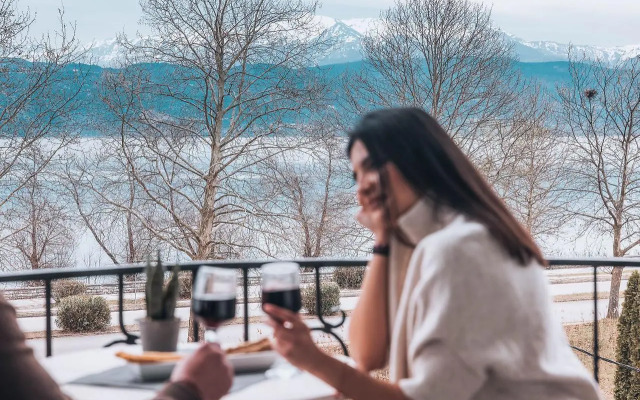 Akti Hotel Ioannina