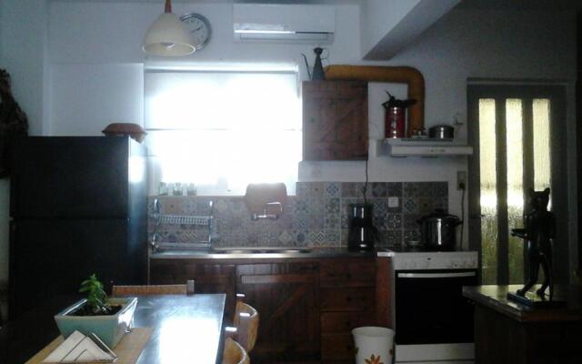 Roof-top garden apartment really well located in Athens
