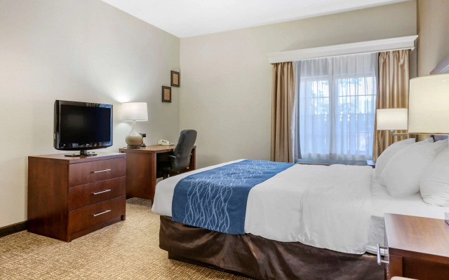 Comfort Inn Kalamazoo