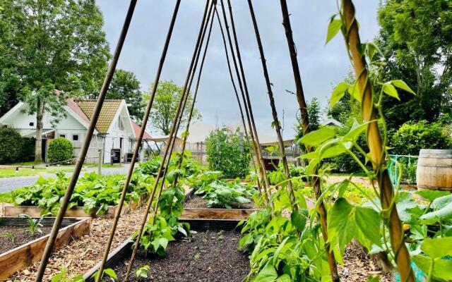 Tiny house - vakantiepark de Schreiershoek