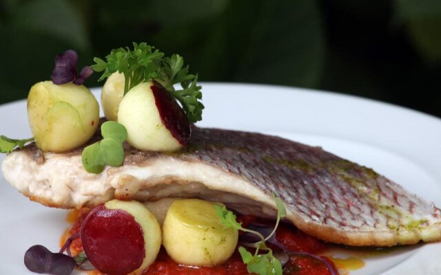 Hotel Quinta de los Cedros