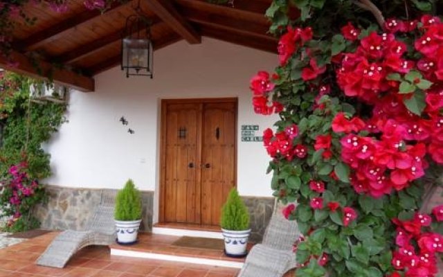 Bed  Breakfast Guest House Casa Don Carlos