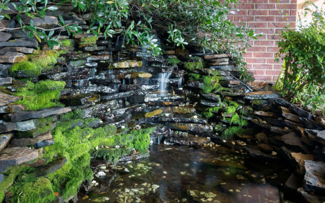 Best Western Shackleford