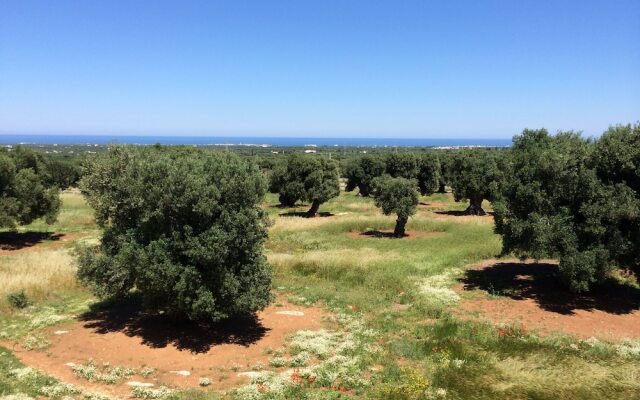 Masseria Capece