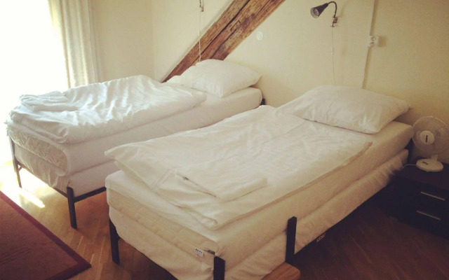 Hostel Mango
