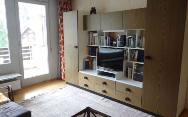 Sunnmatt Süd Wohnung 246