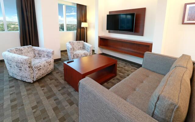 Holiday Inn Leon Plaza Mayor by IHG