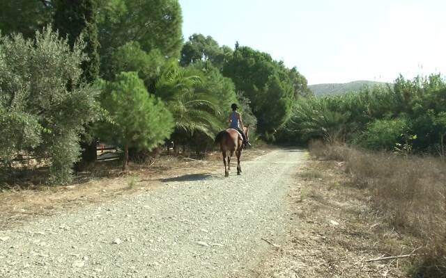 Cyprus Villages Traditional Houses