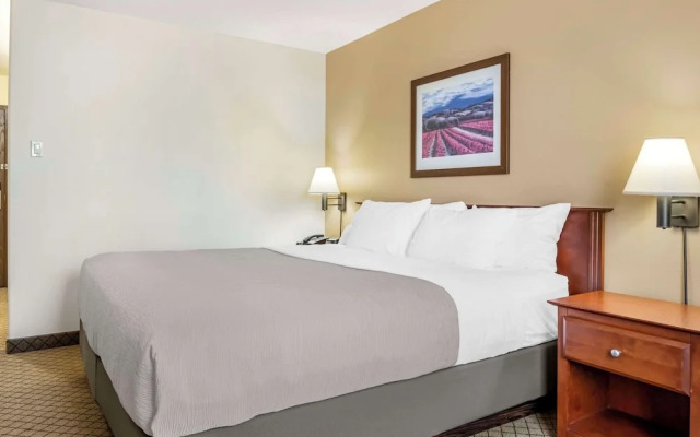 Super 8 Moncton Dieppe