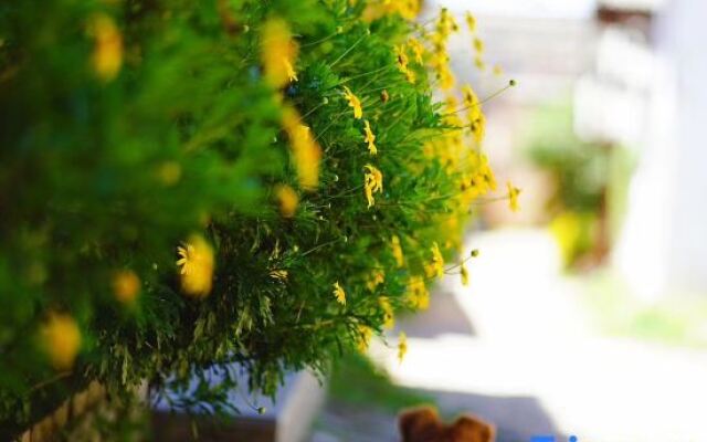 Tiancun Inn (Lijiang Shuhe Ancient Town)