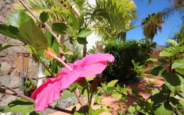 Luxury Villa Lucia