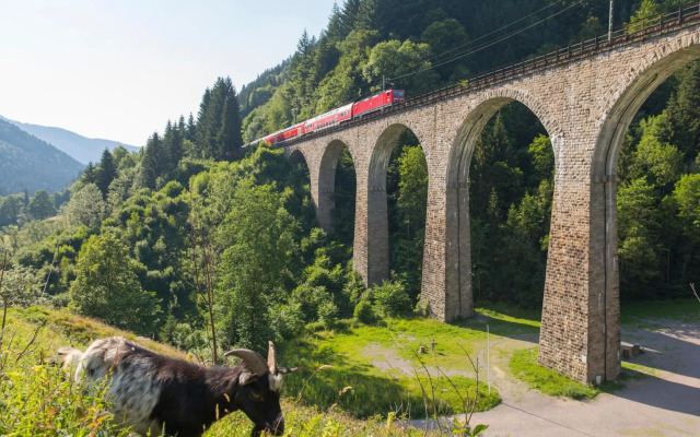 Hus im Schwefelmättle, Hinterzarten