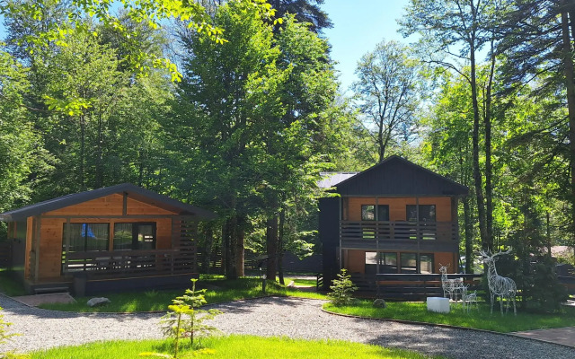 Arkhyz Family Club (Архыз Фэмили Клаб)