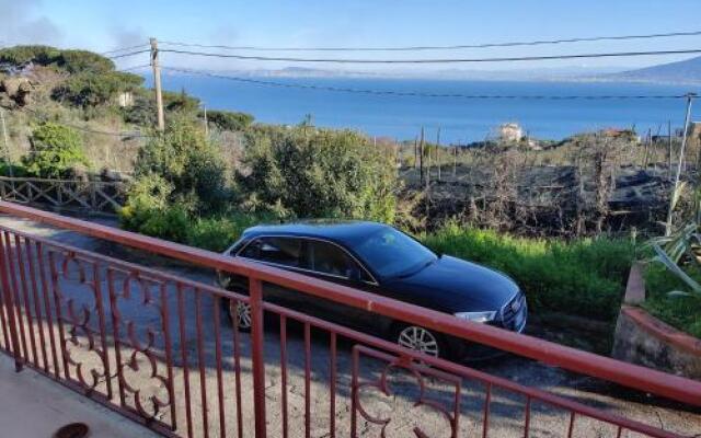 The Magnolia Apartment