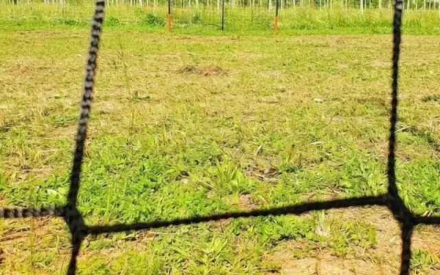 Agriturismo il Pioppeto