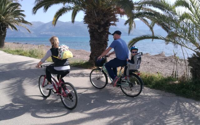 Alekos Beach Houses - Alekos Beach Complex