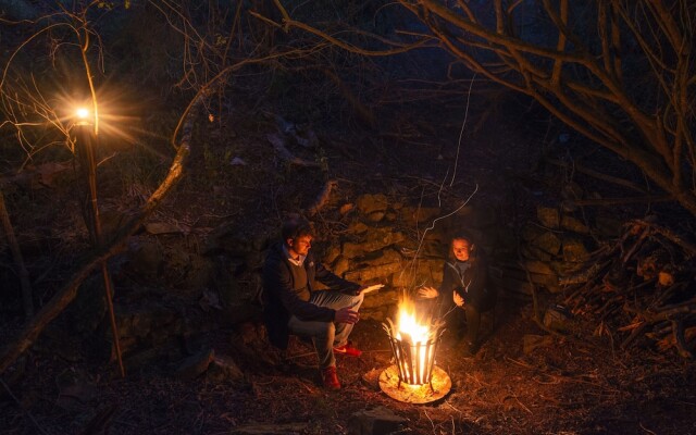 Stargazer Camp - Bellevue Forest Reserve