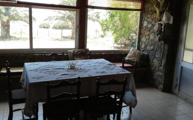 Antonis's Palm House