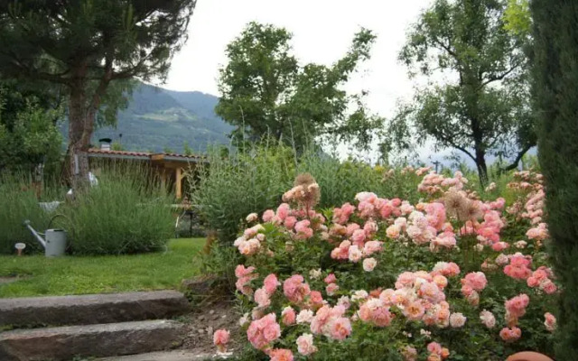 Ferienhaus Aronia