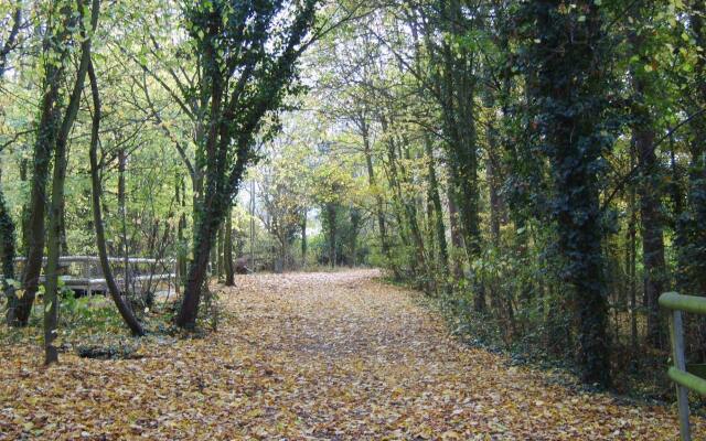 Gilwell Park