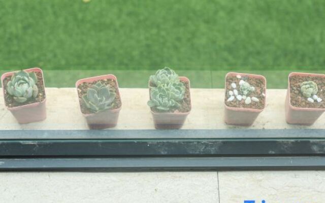 Zuimei Dali Boutique Inn