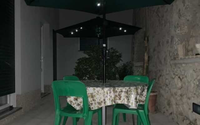Hedera